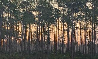 Camping near Ocean Pond Campground: 17 Mile Hunt Camp, Osceola National Forest, Florida