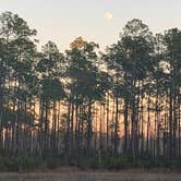 Review photo of 17 Mile Hunt Camp by Michael W., January 2, 2021