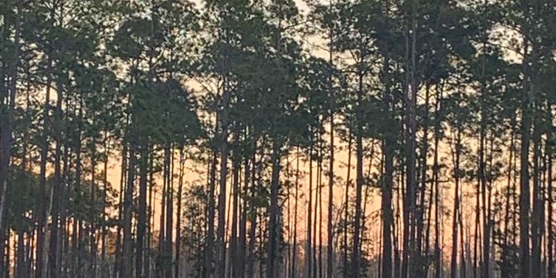 Camper submitted image from 17 Mile Hunt Camp