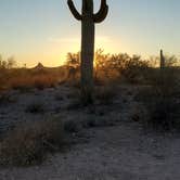 Review photo of Darby Wells Rd BLM Dispersed by Mike S., January 3, 2021