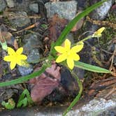 Review photo of Salt Fork State Park Campground by Brian M., May 26, 2018