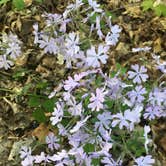 Review photo of Salt Fork State Park Campground by Brian M., May 26, 2018