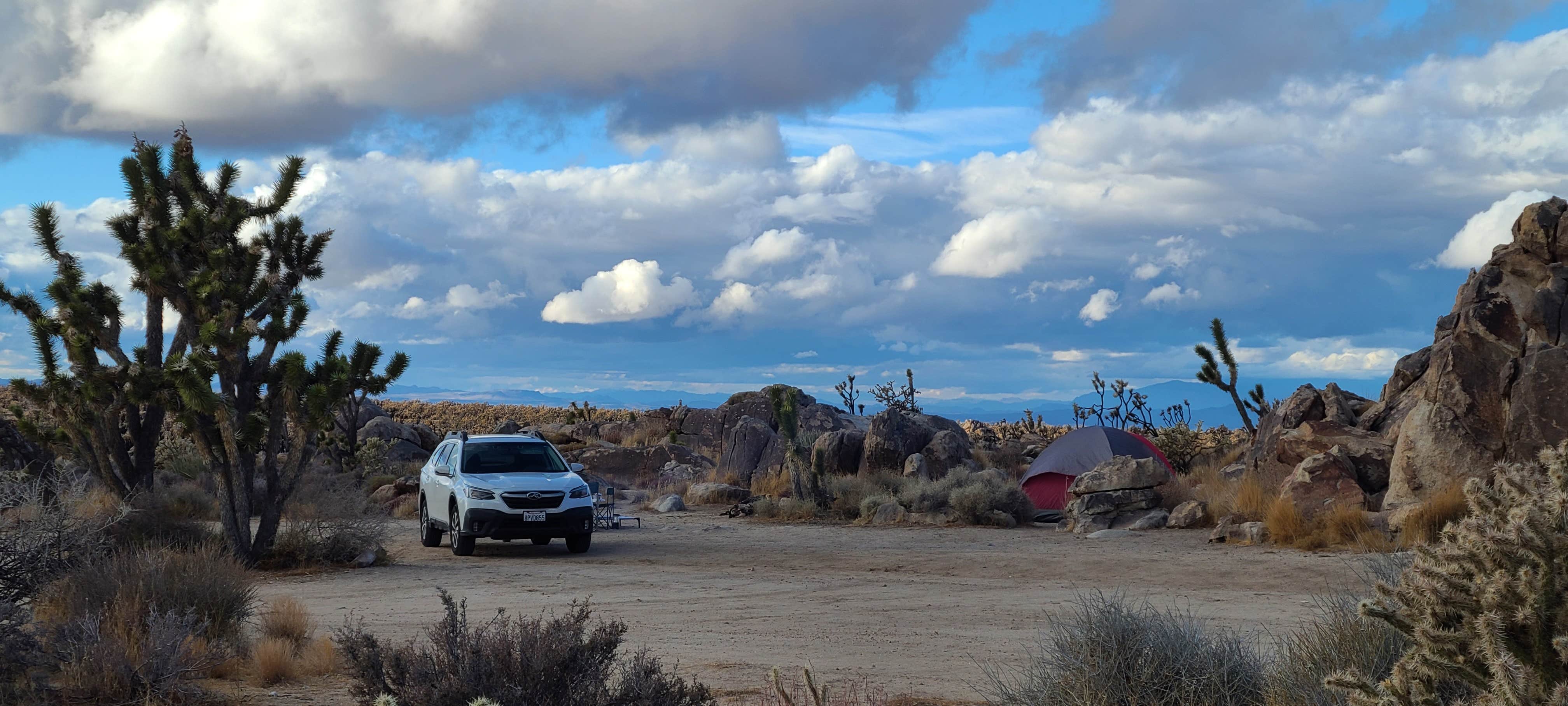 Camper-submitted photo at Mojave Cross Dispersed — Mojave National Preserve near Nipton, CA