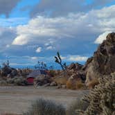 Review photo of Mojave Cross Dispersed — Mojave National Preserve by Helen C., January 3, 2021