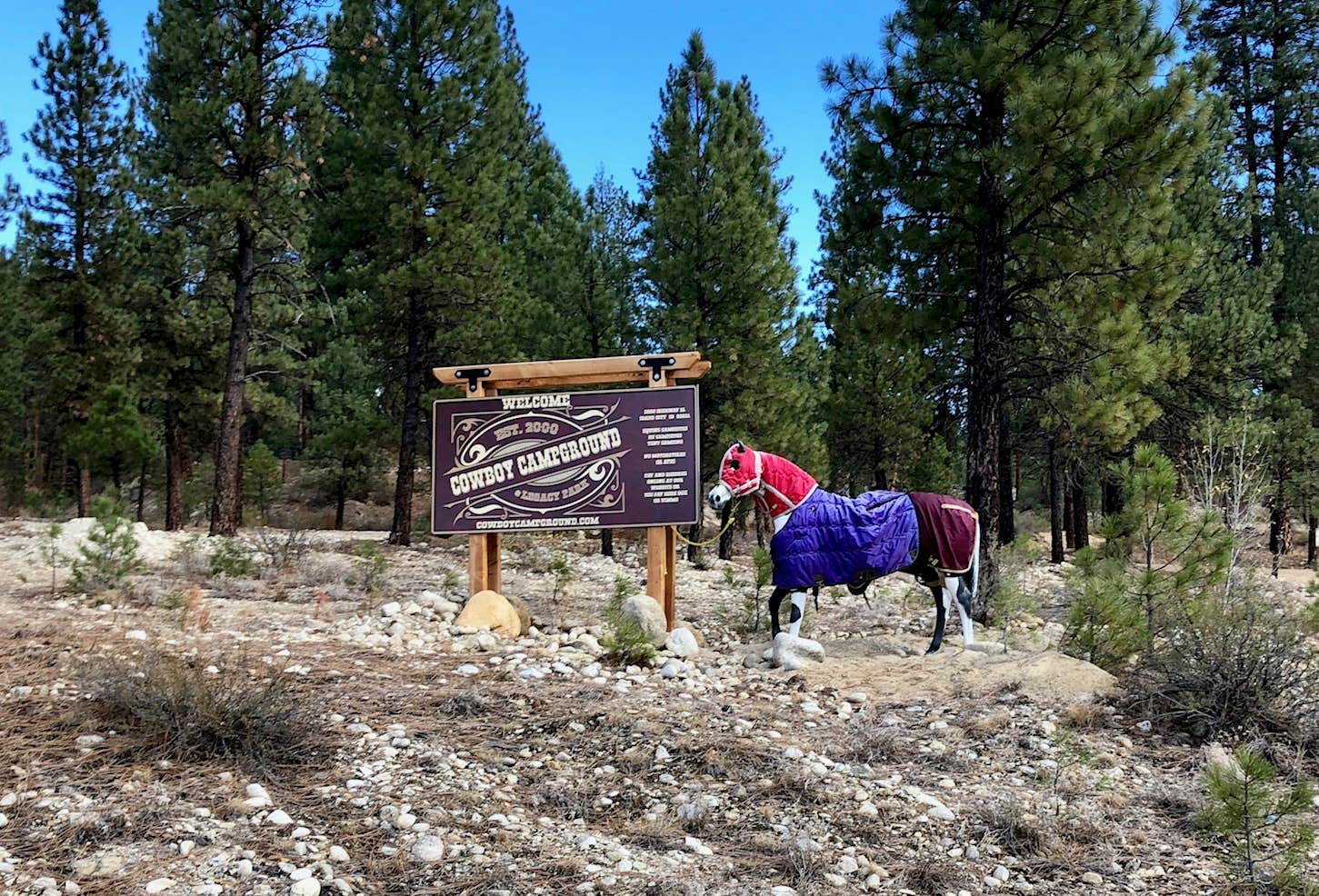Amy S.'s photo of camping with a horse at Cowboy Campground near Boise, ID