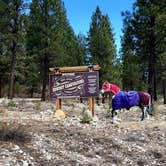 Review photo of Cowboy Campground by Amy S., January 3, 2021