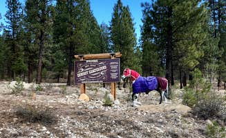 Amy S.'s photo of camping with a horse at Cowboy Campground near Kuna, ID