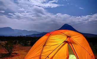 Kathrina M.'s photo at Tin Valley Retro Rentals in Texas