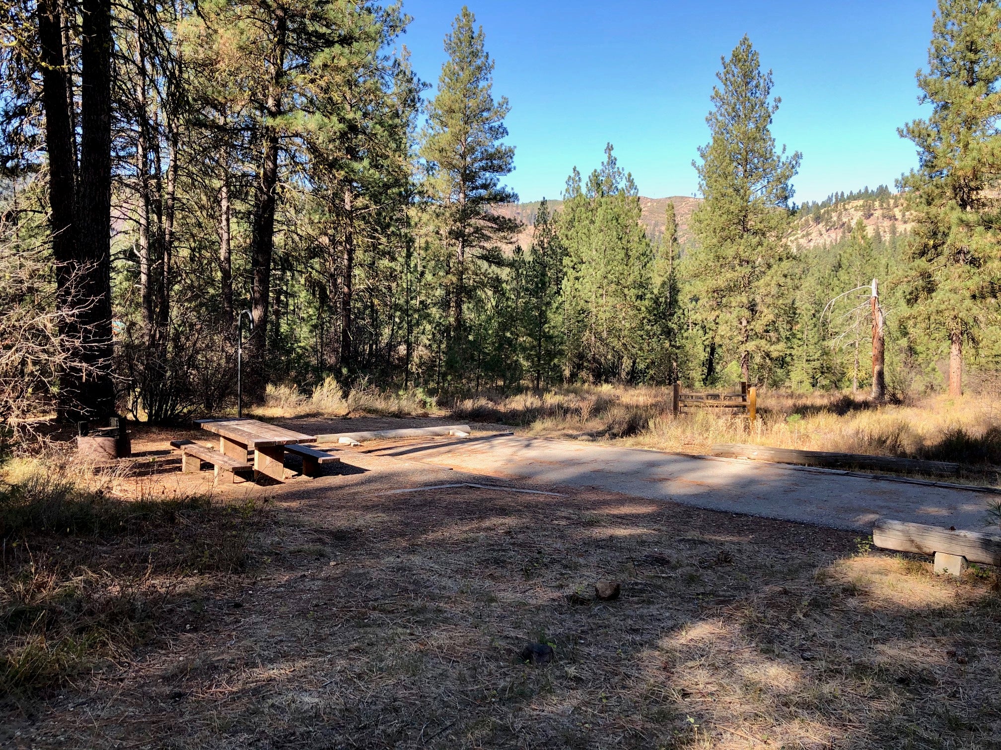Camper submitted image from Grayback Campground and Group Sites - Reserve - 2