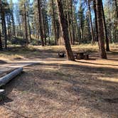 Review photo of Grayback Campground and Group Sites - Reserve by Amy S., January 3, 2021