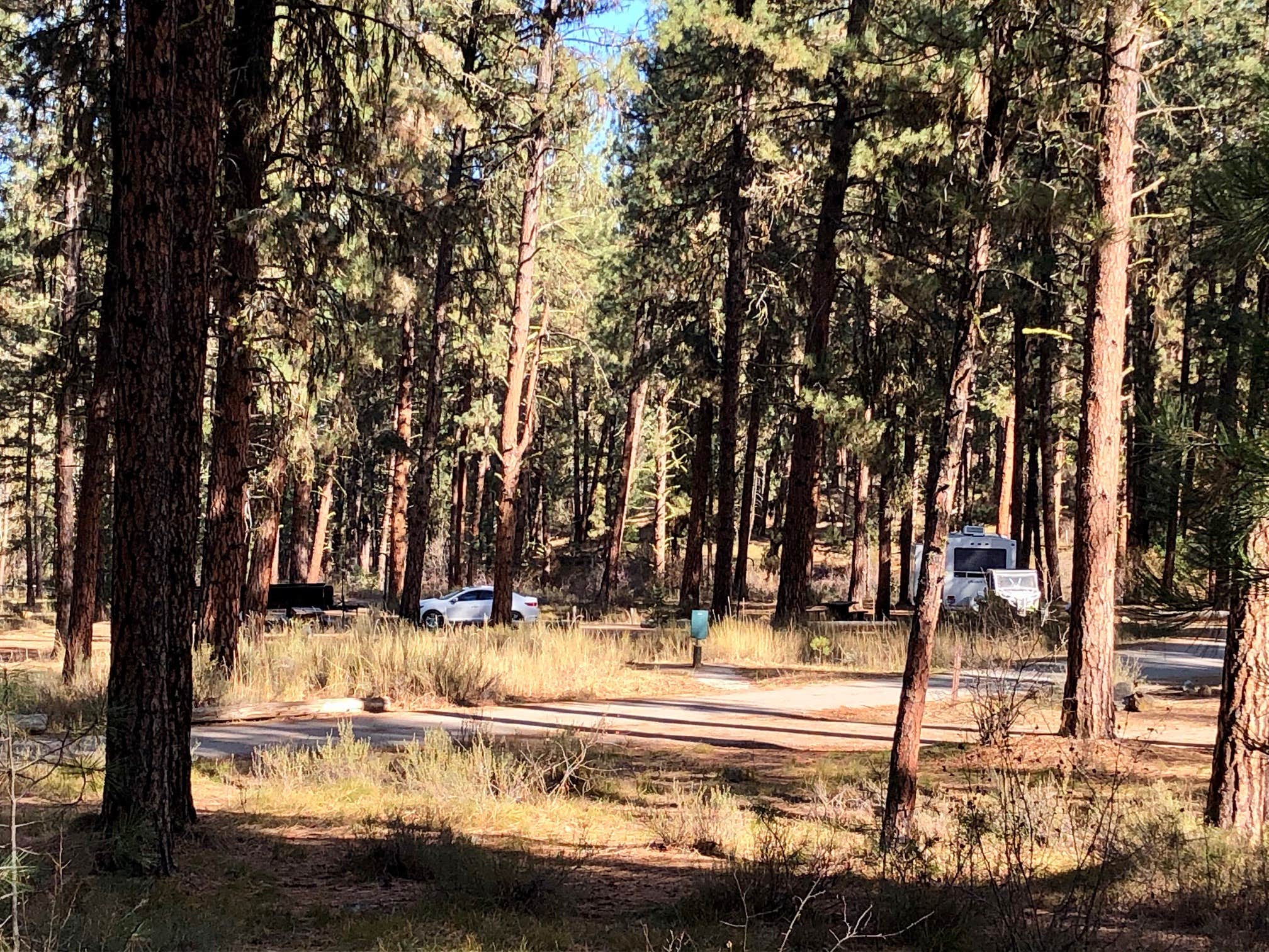 Camper-submitted photo at Grayback Campground and Group Sites - Reserve near Idaho City, ID