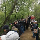 Review photo of Maumee Bay State Park Campground by Brian M., May 26, 2018