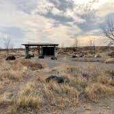 Review photo of Cove at CJ Strike Reservoir - BLM by Amy S., January 3, 2021