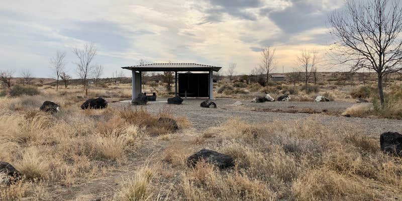 Camper submitted image from Cove at CJ Strike Reservoir - BLM