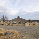 Review photo of Cove at CJ Strike Reservoir - BLM by Amy S., January 3, 2021