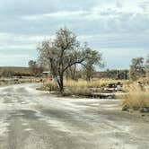 Review photo of Cottonwood CJ Strike Reservoir Idaho Power by Amy S., January 3, 2021