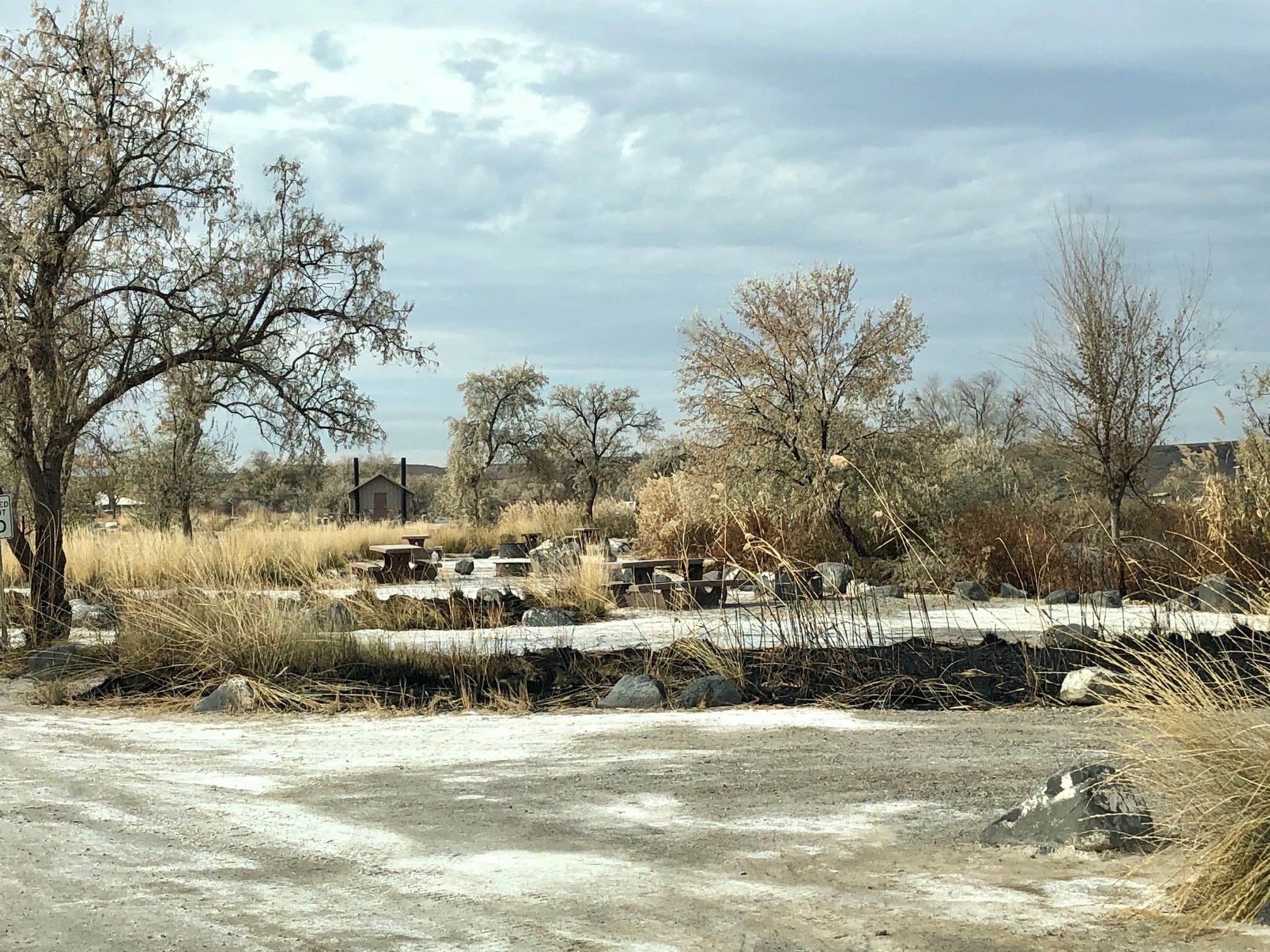 Cottonwood CJ Strike Reservoir Idaho Power The Dyrt