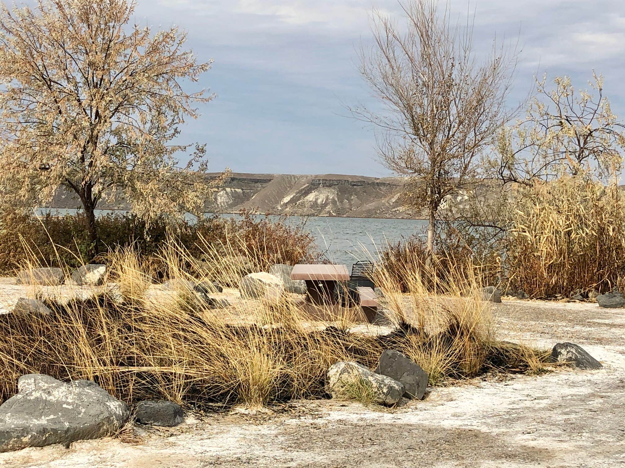 Camper-submitted photo at Cottonwood CJ Strike Reservoir Idaho Power near Bruneau, ID