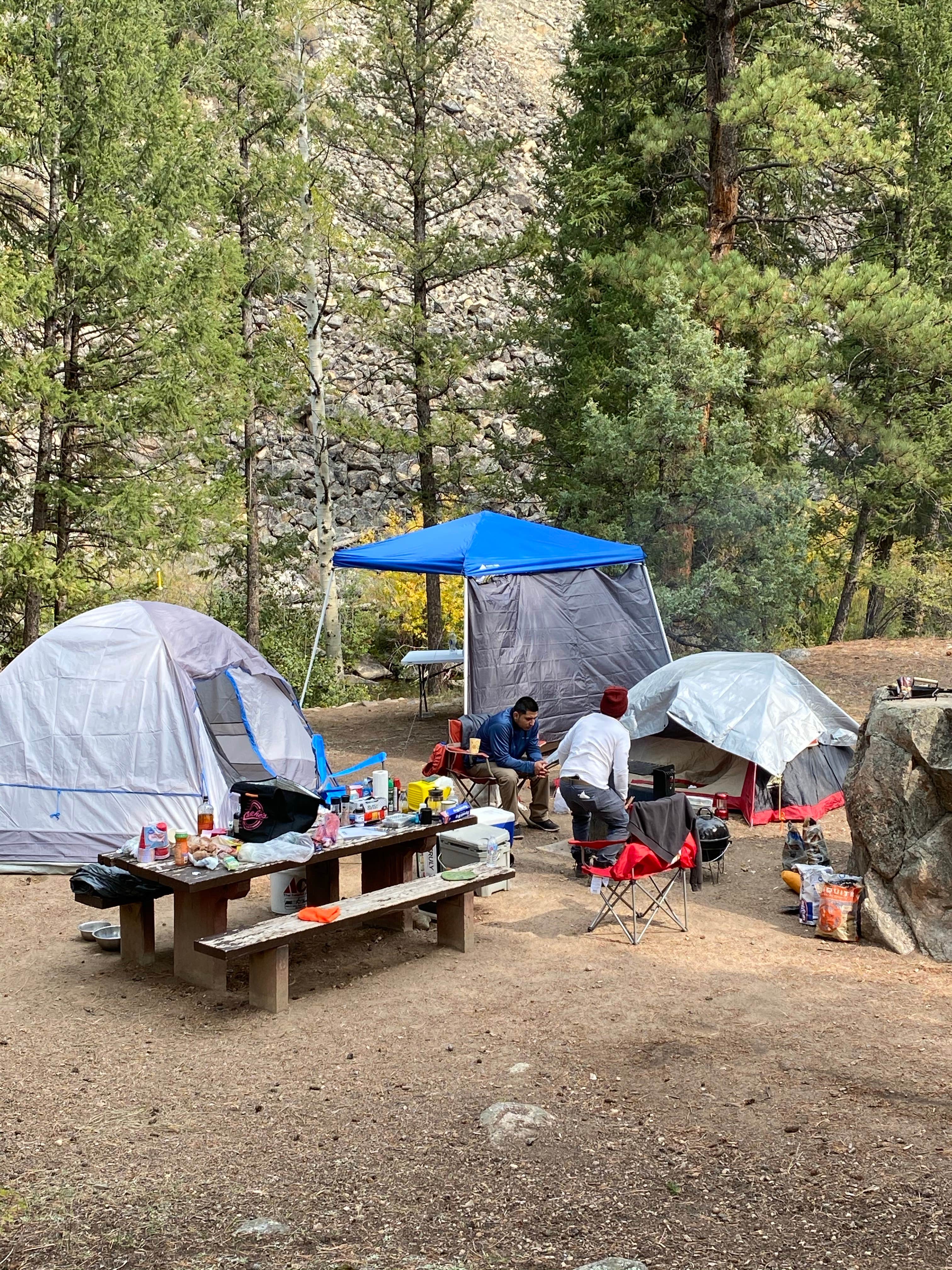 Camper submitted image from Rosy Lane - 5