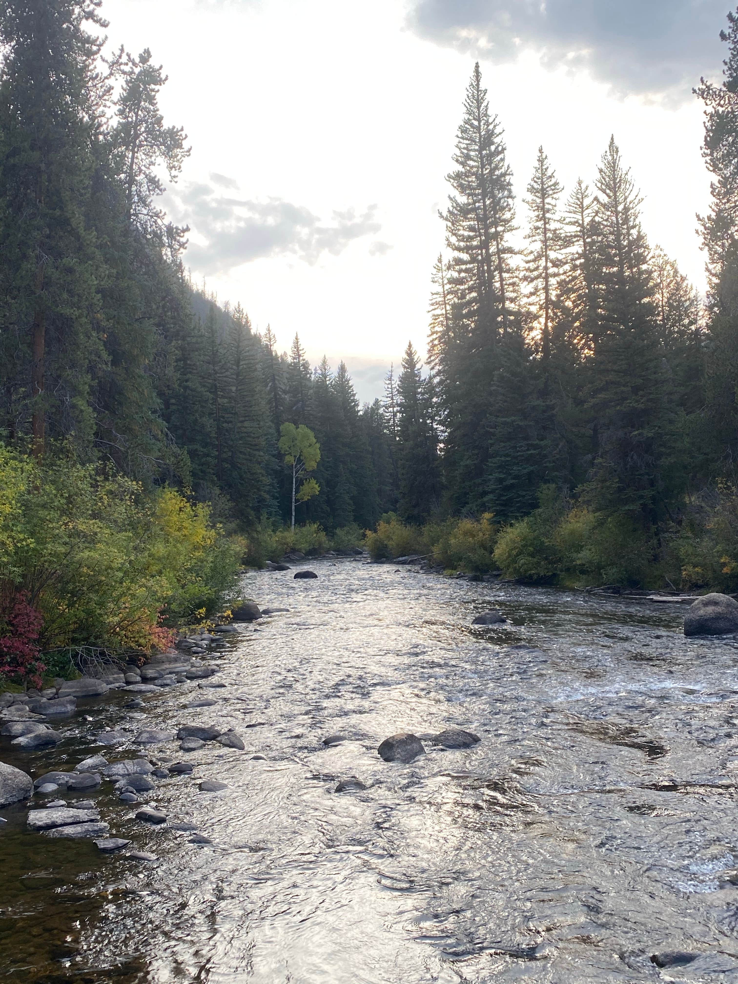 Camper-submitted photo at Rosy Lane near Crested Butte, CO