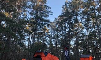 Camping near Wolf Creek Park: Big Woods Hunter Camp, Sam Houston National Forest, Texas