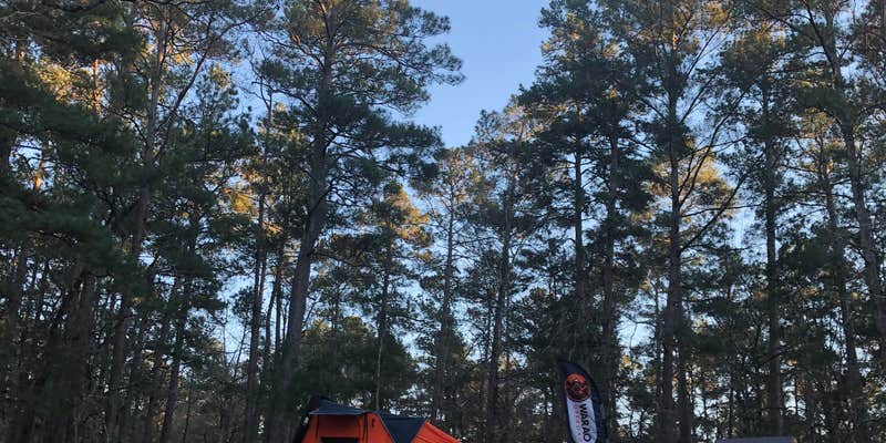 Camper submitted image from Big Woods Hunter Camp