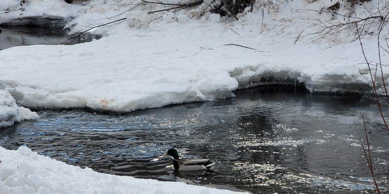 Camper submitted image from Red River RV