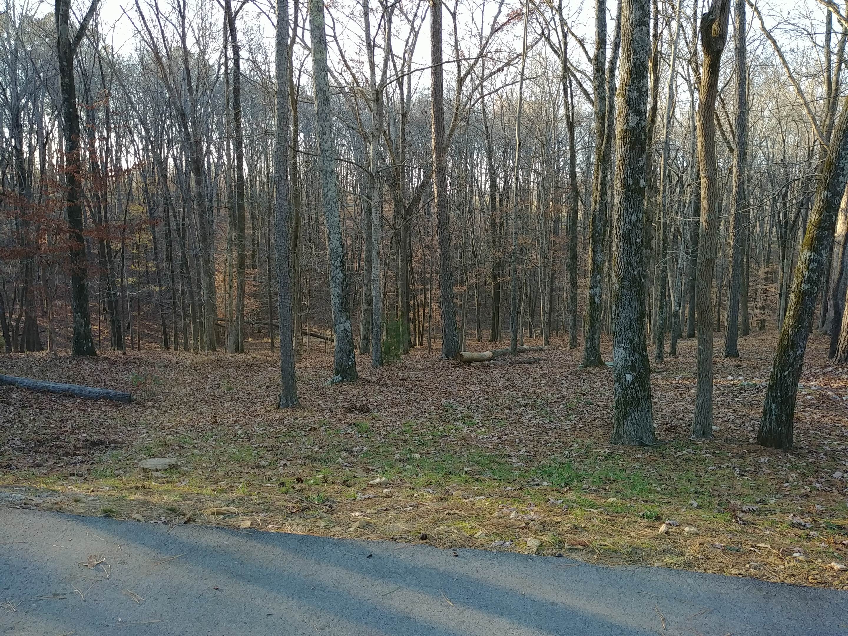 Camper-submitted photo at David Crockett State Park Campground near Natchez Trace Parkway