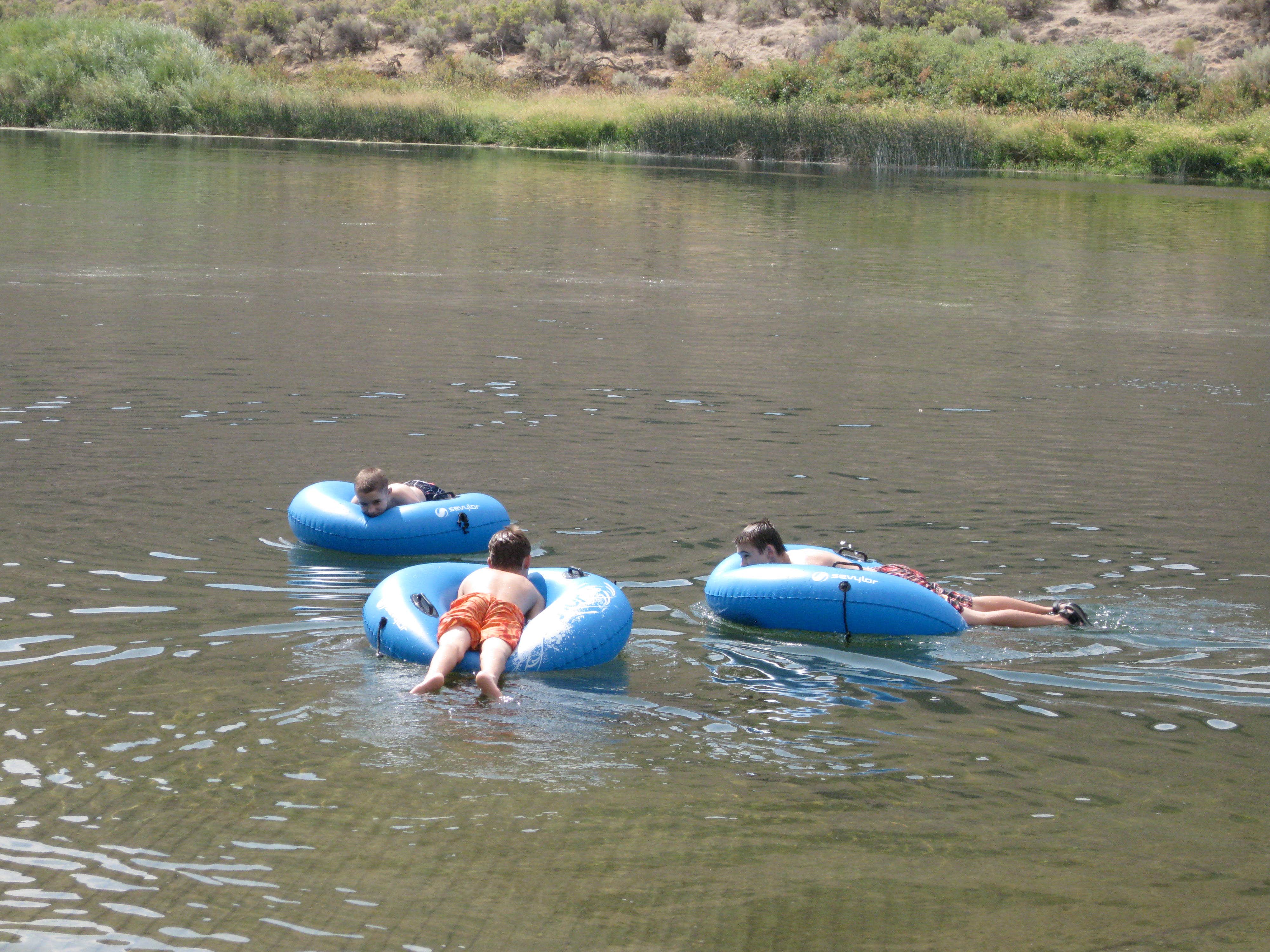 Camper-submitted photo at Celebration Park near Murphy, ID