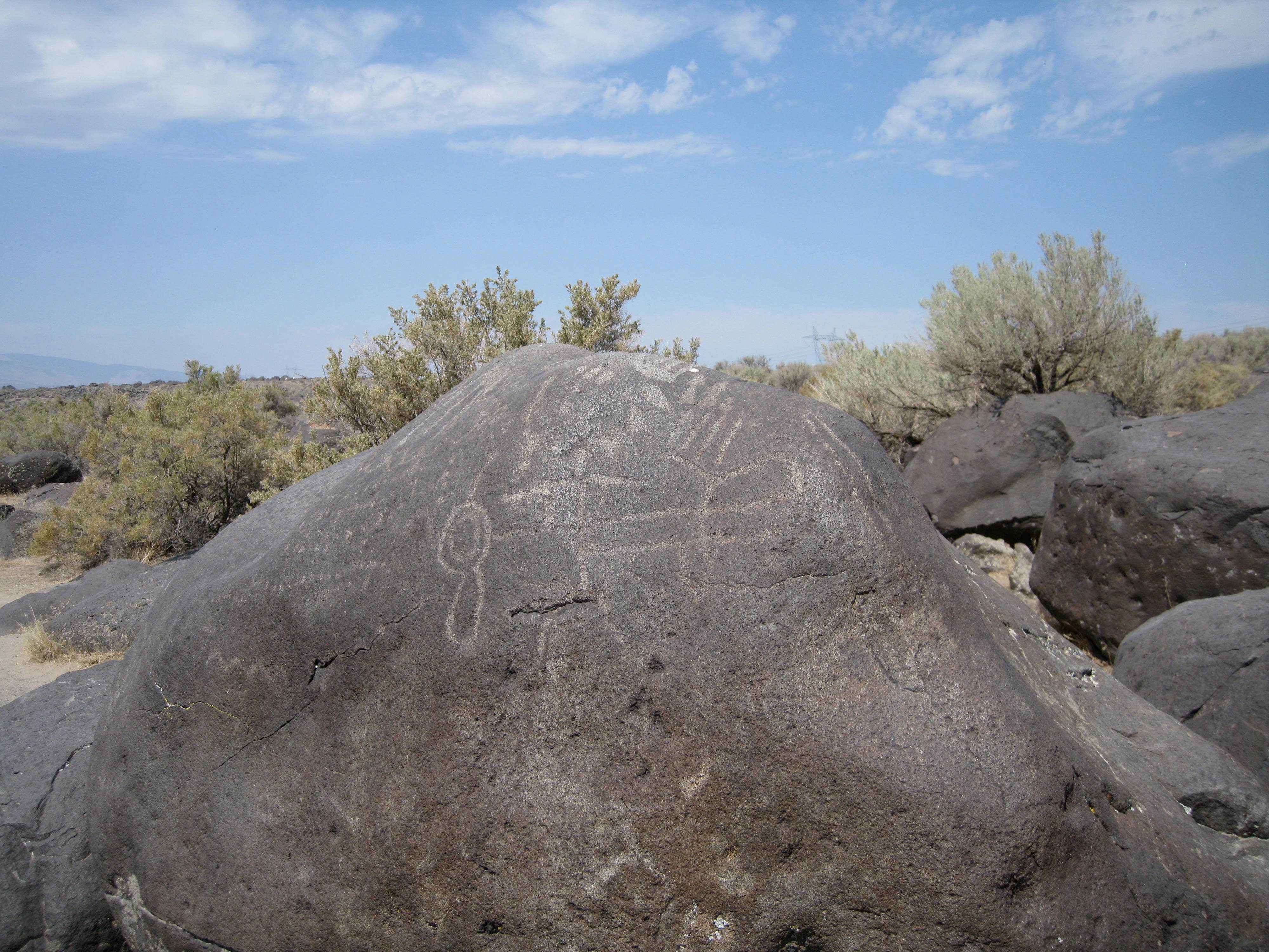 Camper-submitted photo at Celebration Park near Murphy, ID