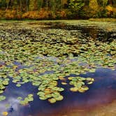 Review photo of Little Gulch Lake canoe campsite by Janet R., May 26, 2018