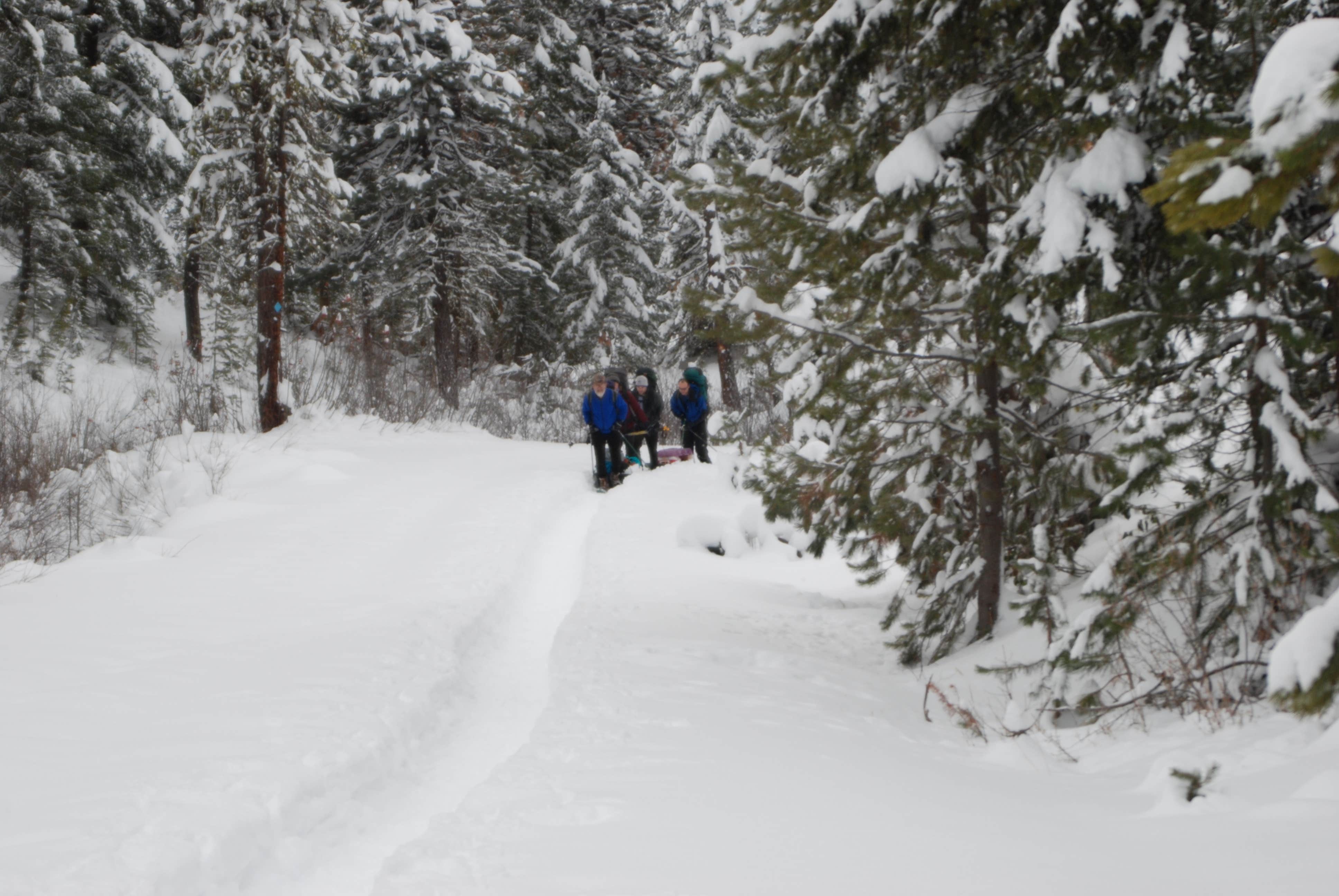Camper-submitted photo at Idaho City Yurts — Idaho Parks and Recreation State Headquaters near Boise, ID