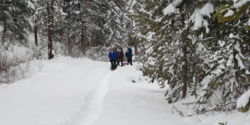 Camper submitted image from Idaho City Yurts — Idaho Parks and Recreation State Headquaters