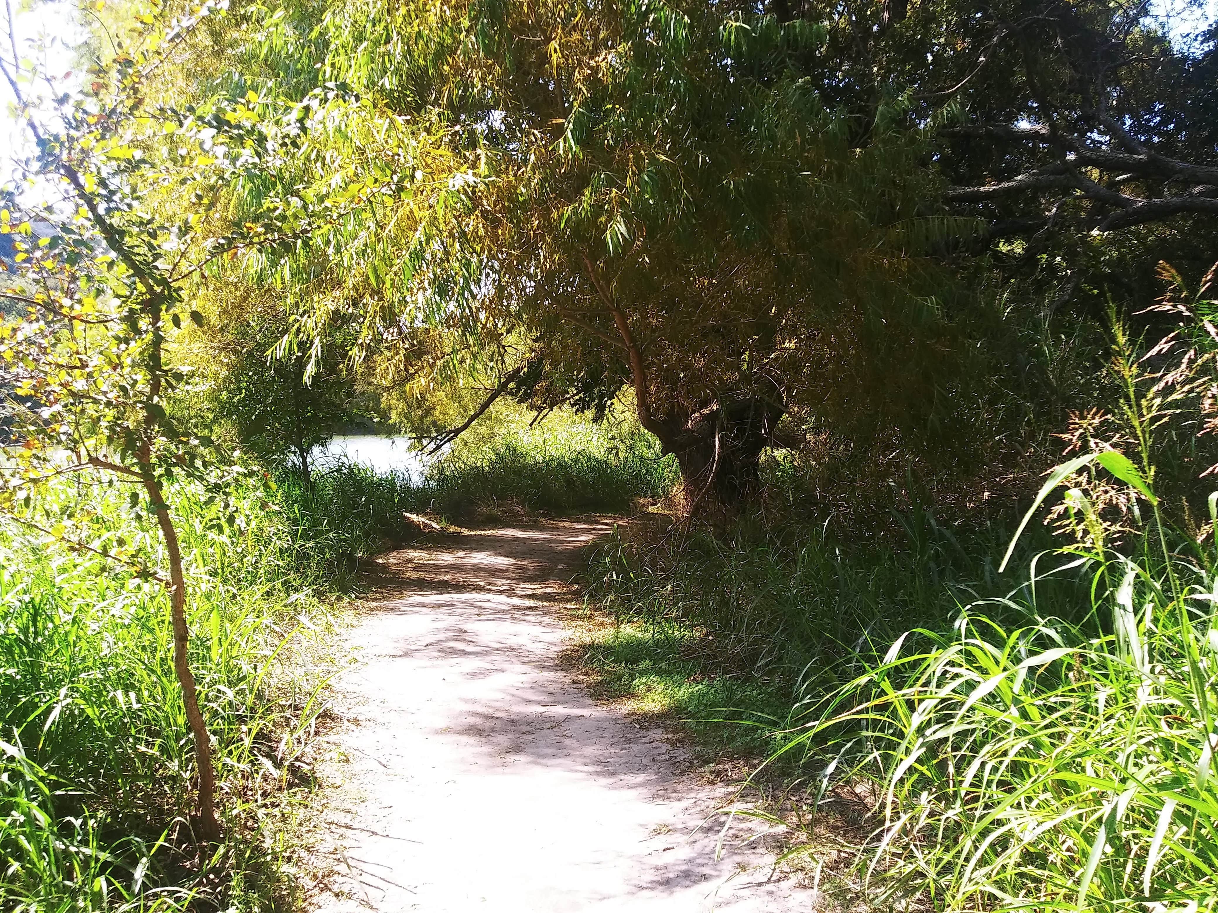 Camper submitted image from River Backpack Area — Colorado Bend State Park - 5