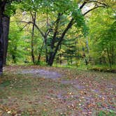 Review photo of Little Gulch Lake canoe campsite by Janet R., May 26, 2018