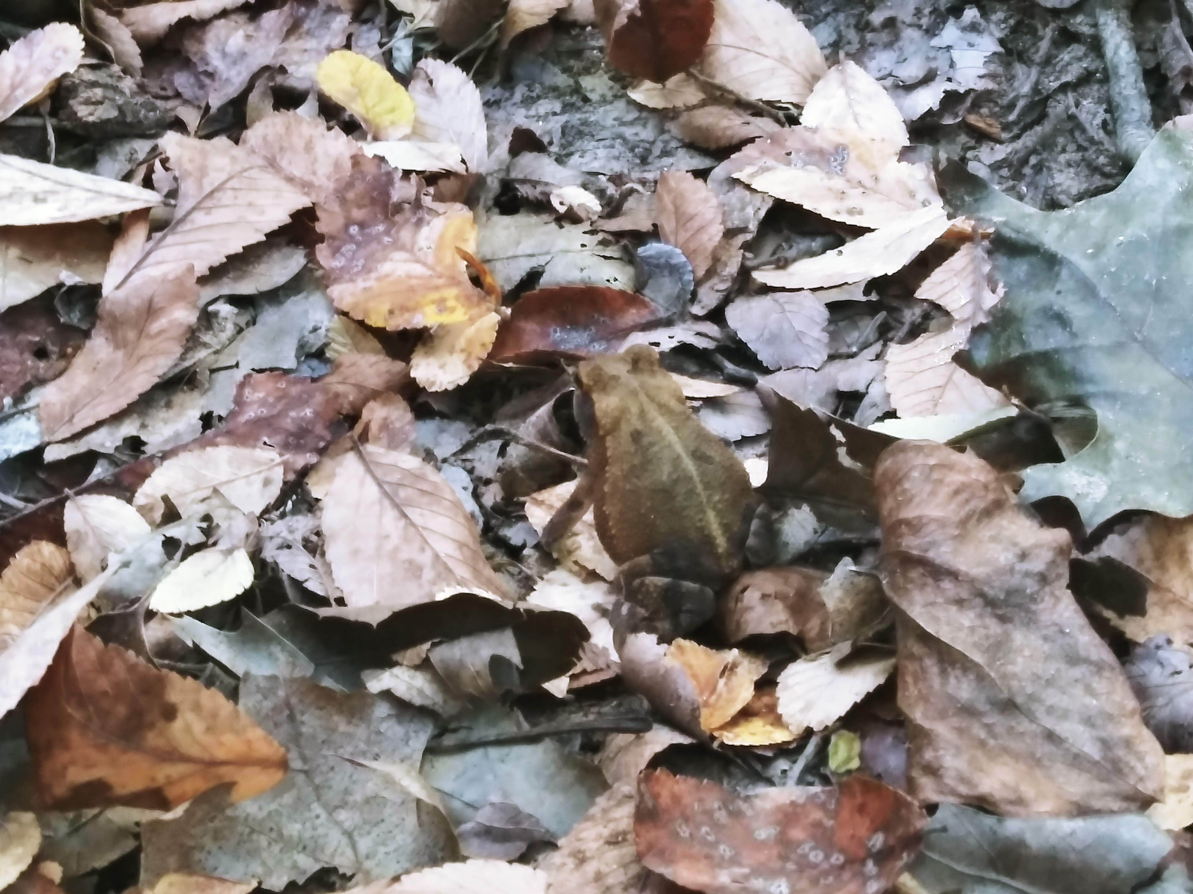 Camper-submitted photo at River Backpack Area — Colorado Bend State Park near Copperas Cove, TX