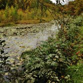 Review photo of Little Gulch Lake canoe campsite by Janet R., May 26, 2018