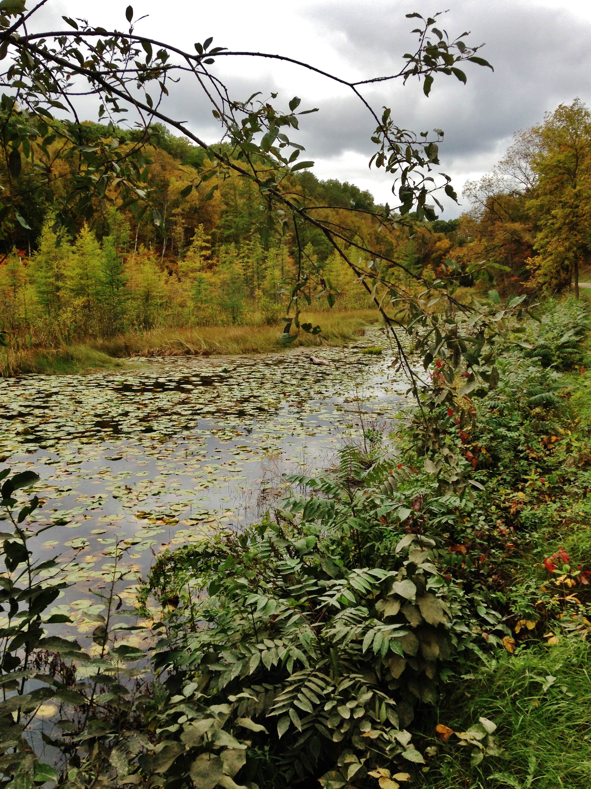Camper submitted image from Little Gulch Lake canoe campsite - 3