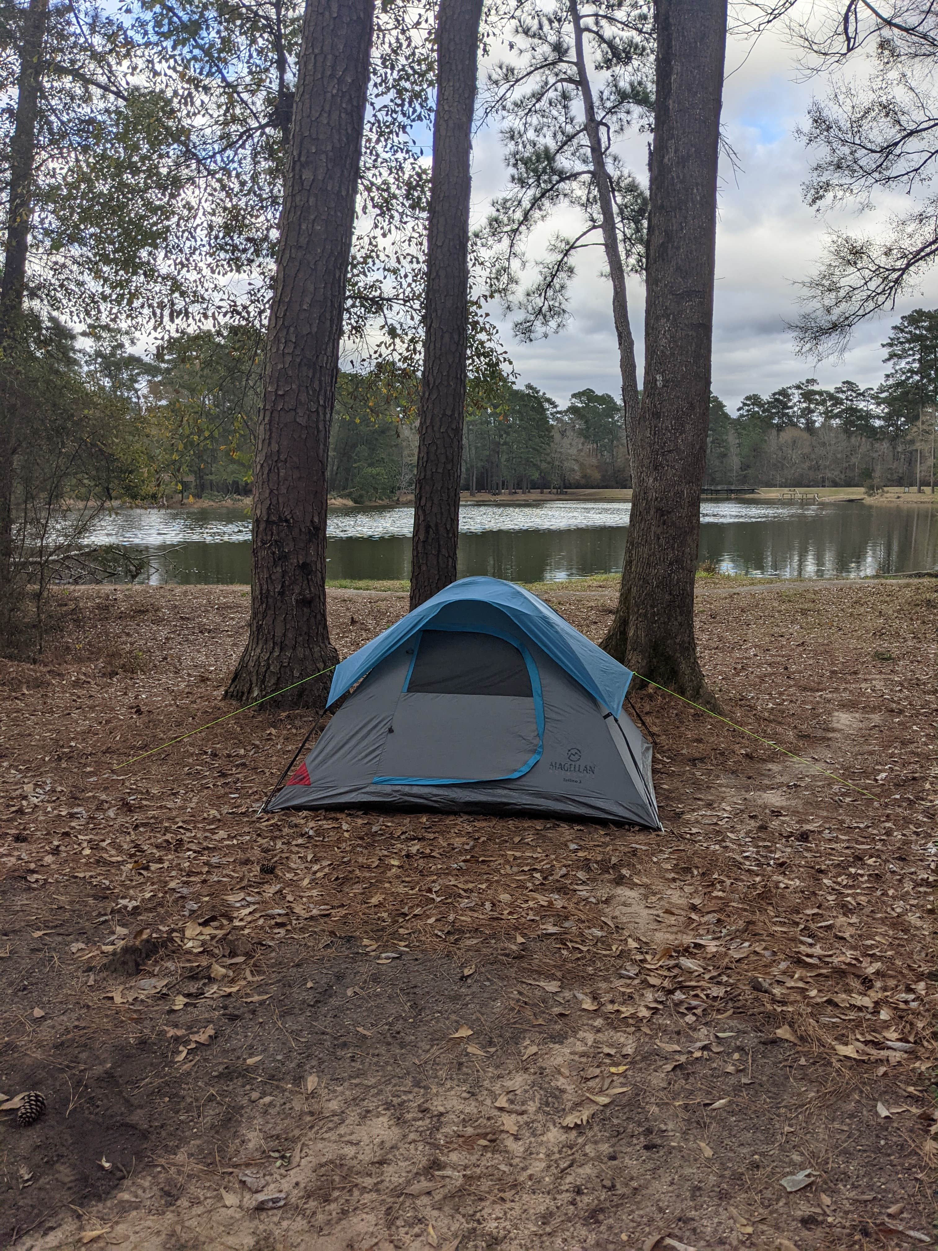 Camper submitted image from Double Lake NF Campground - 1