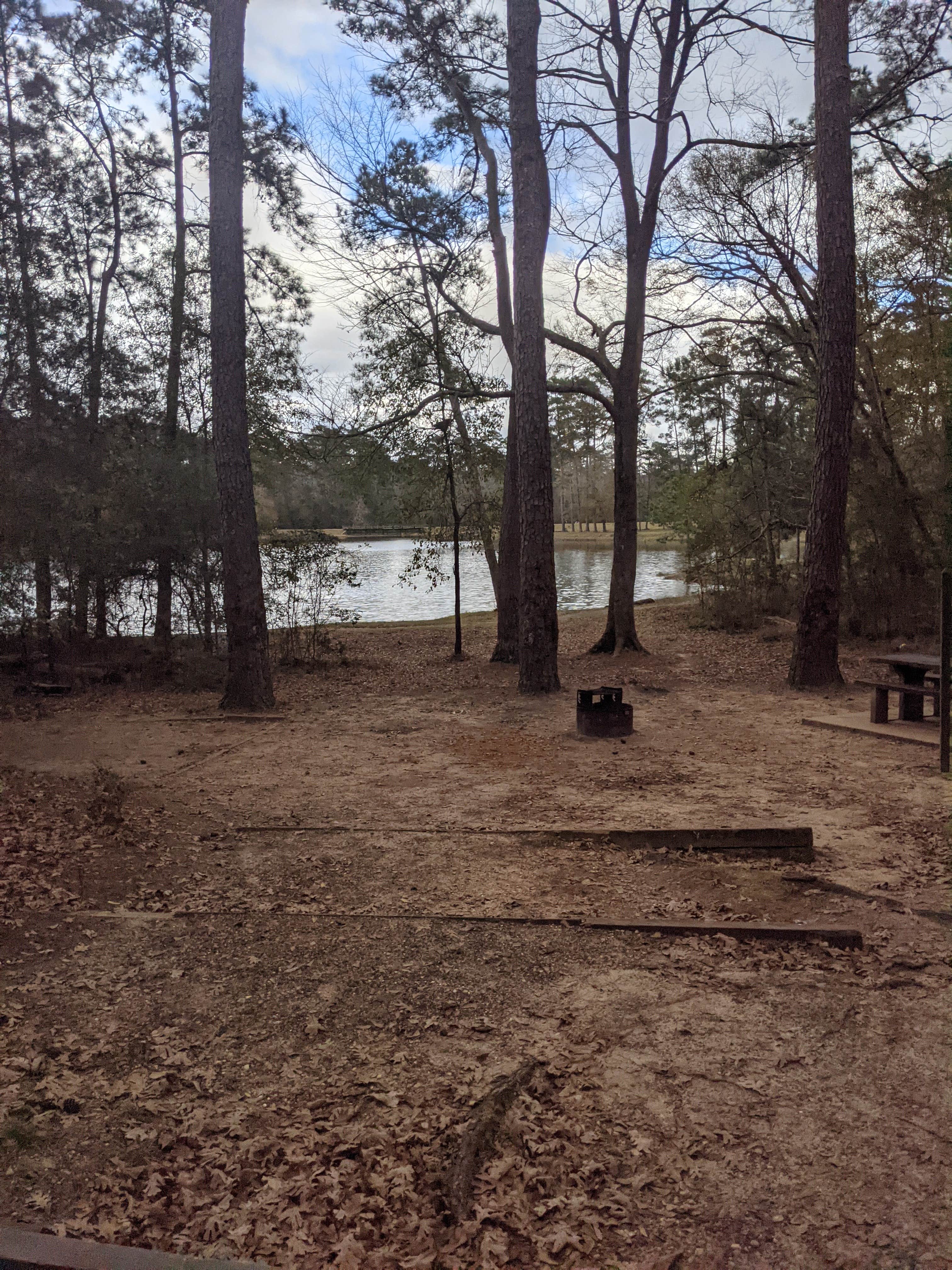 Camper-submitted photo at Double Lake NF Campground near Cleveland, TX
