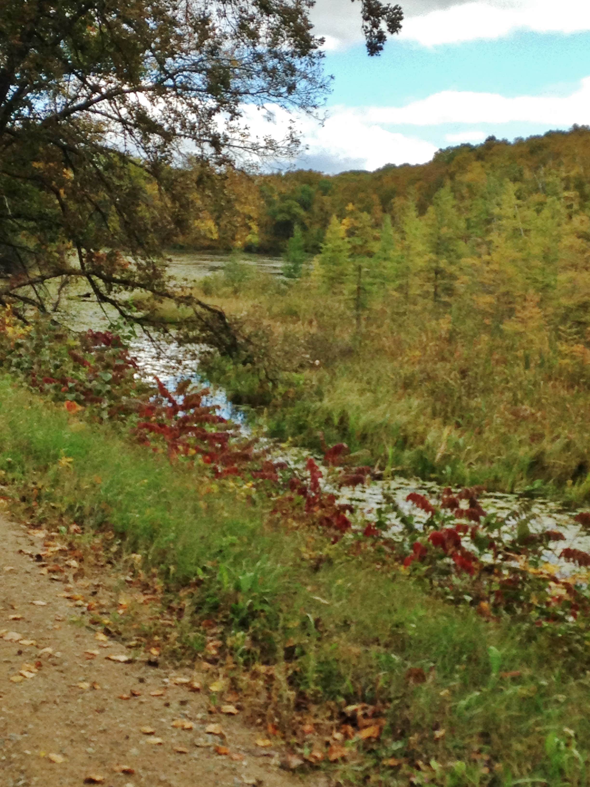 Camper submitted image from Little Gulch Lake canoe campsite - 4