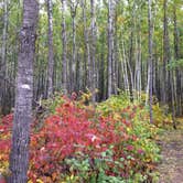 Review photo of Little Gulch Lake canoe campsite by Janet R., May 26, 2018