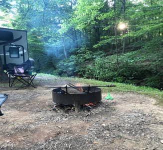 Camper-submitted photo from Lake Alma State Park Campground