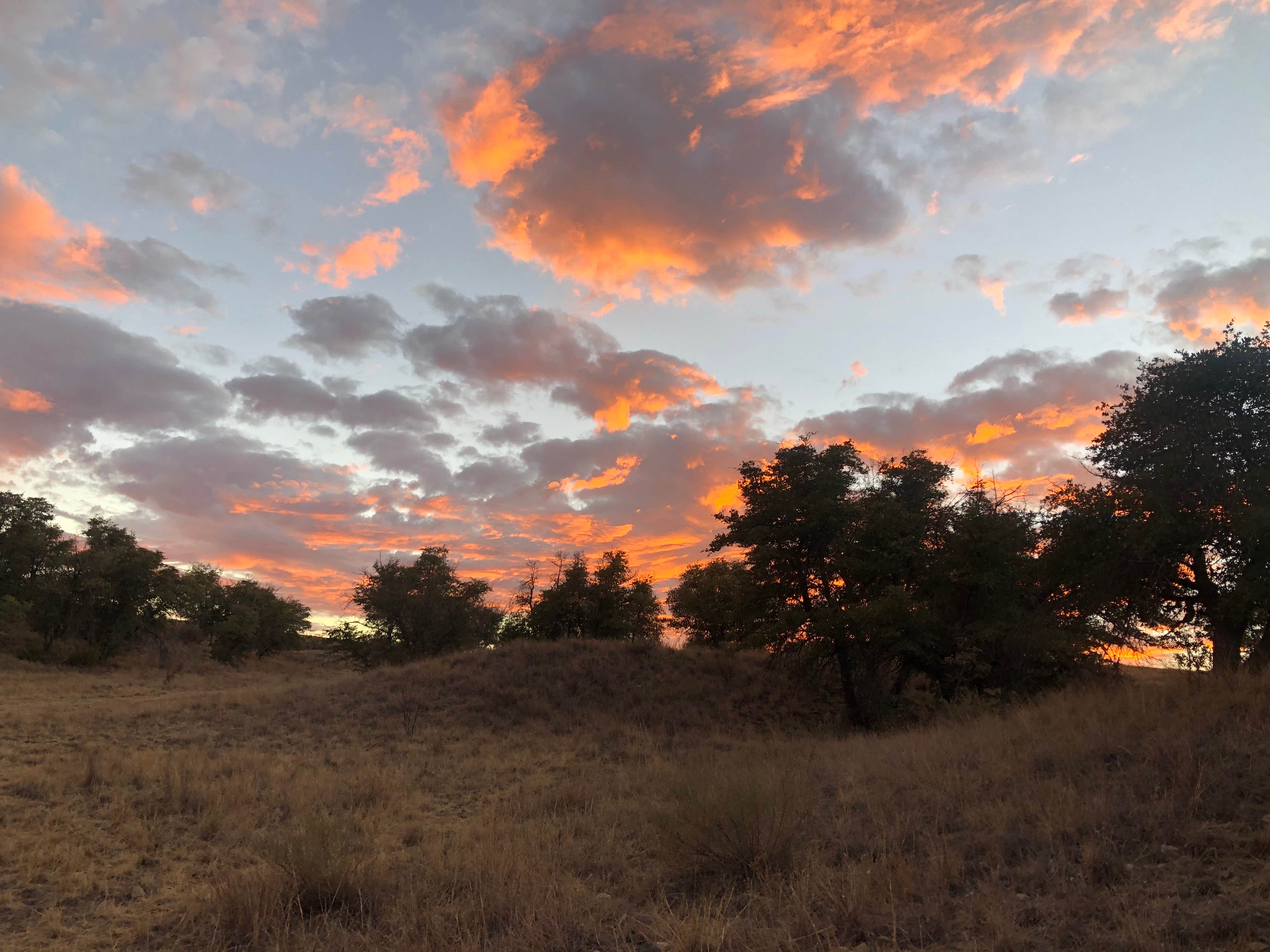 Kimberly C.'s photo of a dispersed camping area at Kentucky Camp near Vail, AZ
