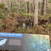 Review photo of Chassahowitzka River Campground by CDCA , January 3, 2021