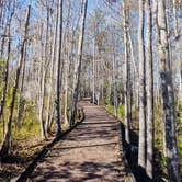 Review photo of Stephen C. Foster State Park Campground by Davida M., January 3, 2021