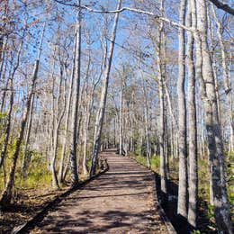 Stephen C. Foster State Park Campground