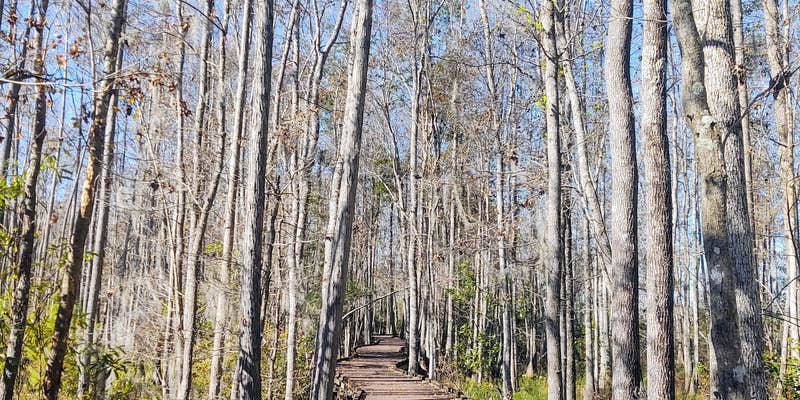 Camper submitted image from Stephen C. Foster State Park Campground