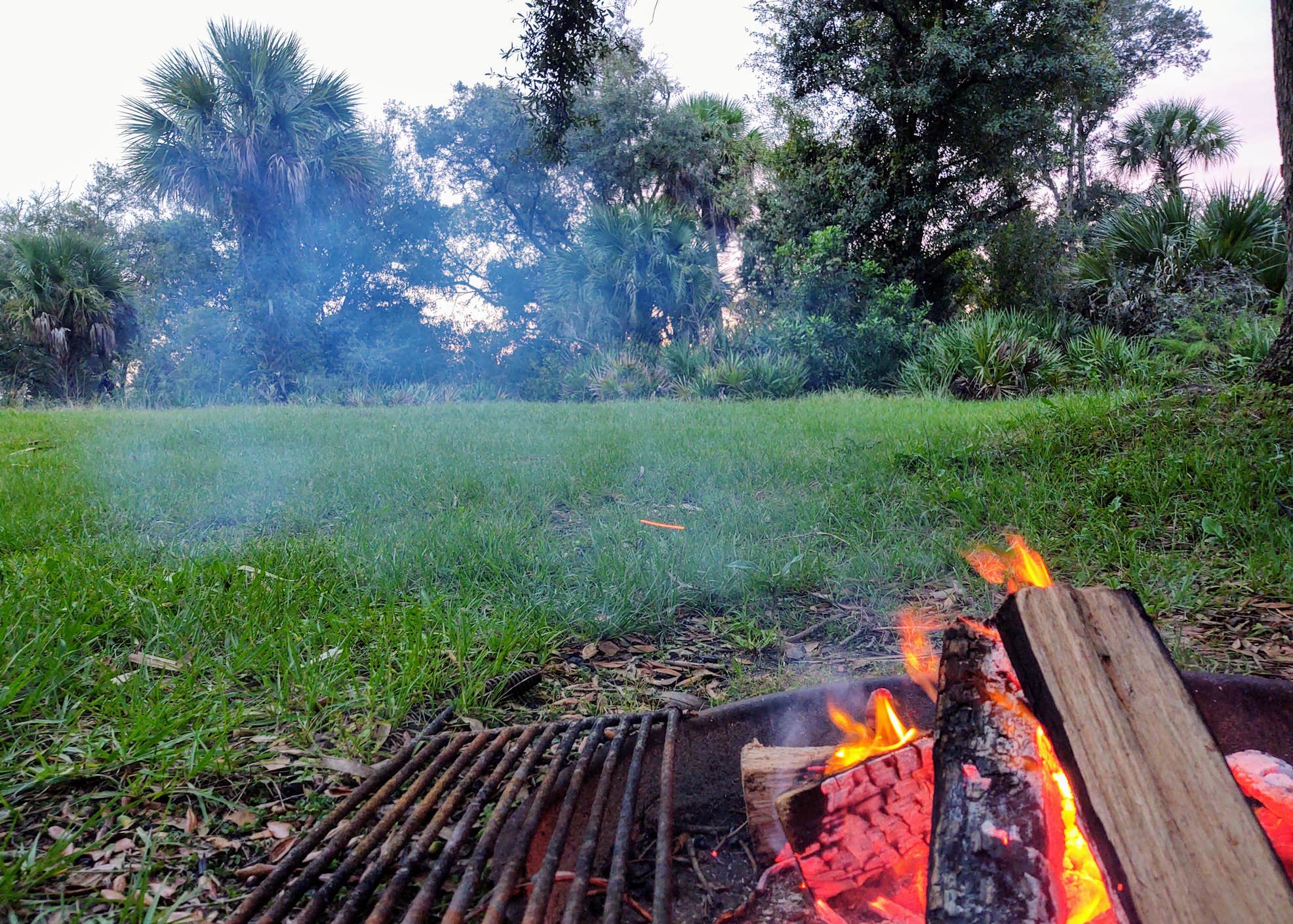 Kissimmee Prairie Preserve State Park Camping The Dyrt