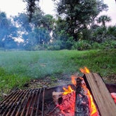 Review photo of Kissimmee Prairie Preserve State Park Campground by Davida M., January 3, 2021